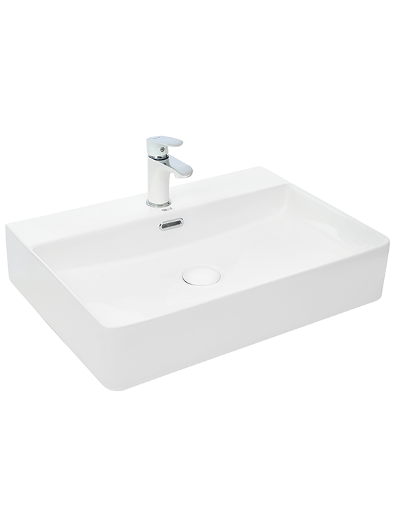 WW ELBACH 2173 Раковина накладная 600х420х120 